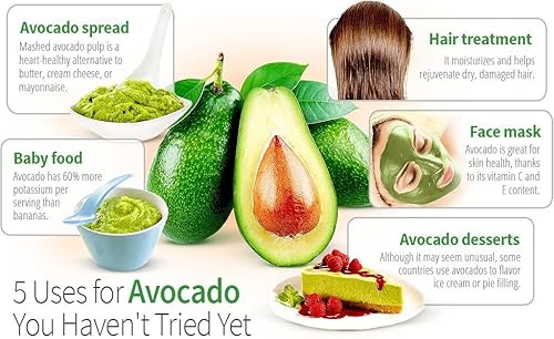 Miniatura 7 de Bol de plástico Avoseedo, color verde, Transparente