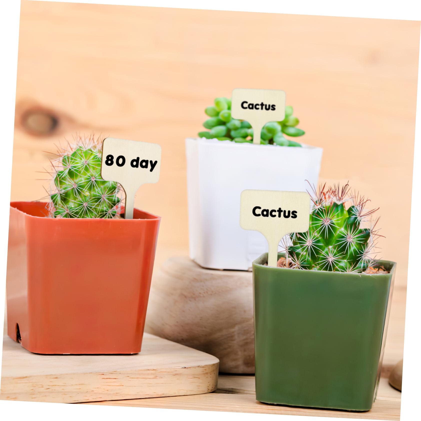 BESPORTBLE Lot De 5 Étiquettes De Jardin En Bois Pour Plantes Marqueurs De Plantes Lisses Et Polyvalents Pour Plantes Dintérieur Et Dextérieur 50 Pièces X 5