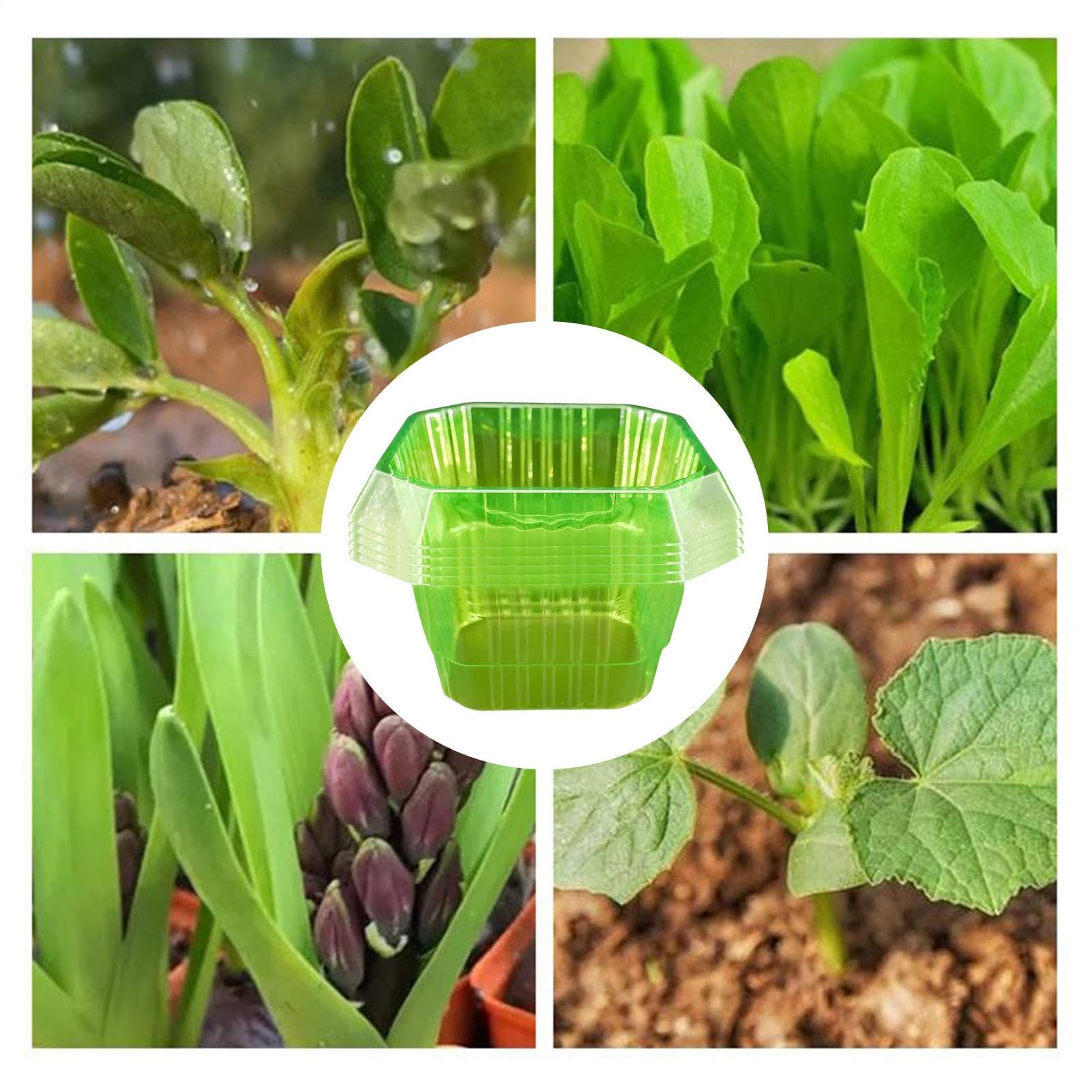Protezioni per campane per piante, tunnel di crescita all'aperto, coni isolanti botanici con di fissaggio a terra, riutilizzabili per la trasmissione della luce solare, ideali per
