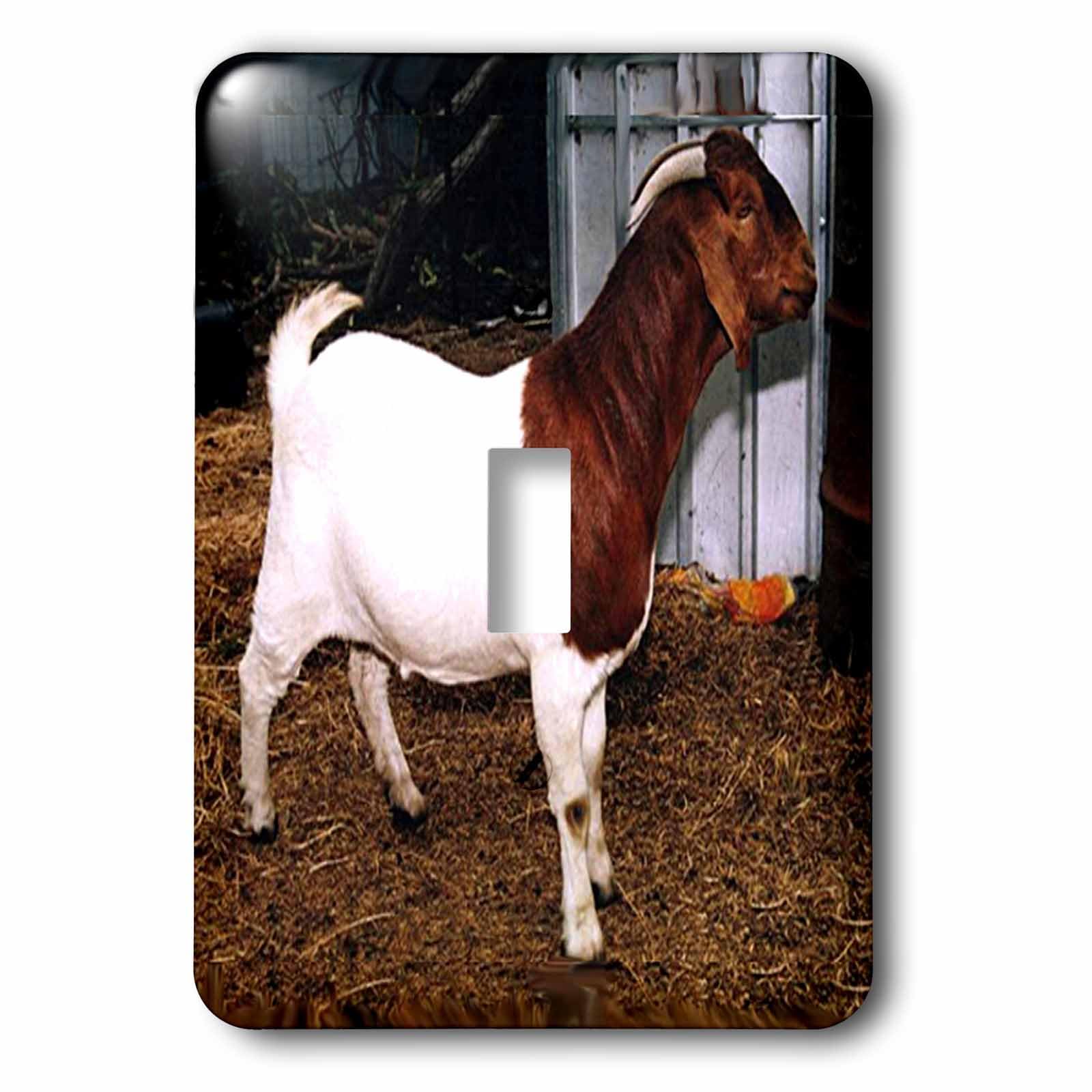 Interrupteur Chèvre Boer Doe 3drose LSP 818 1 pour Décoration Rustique