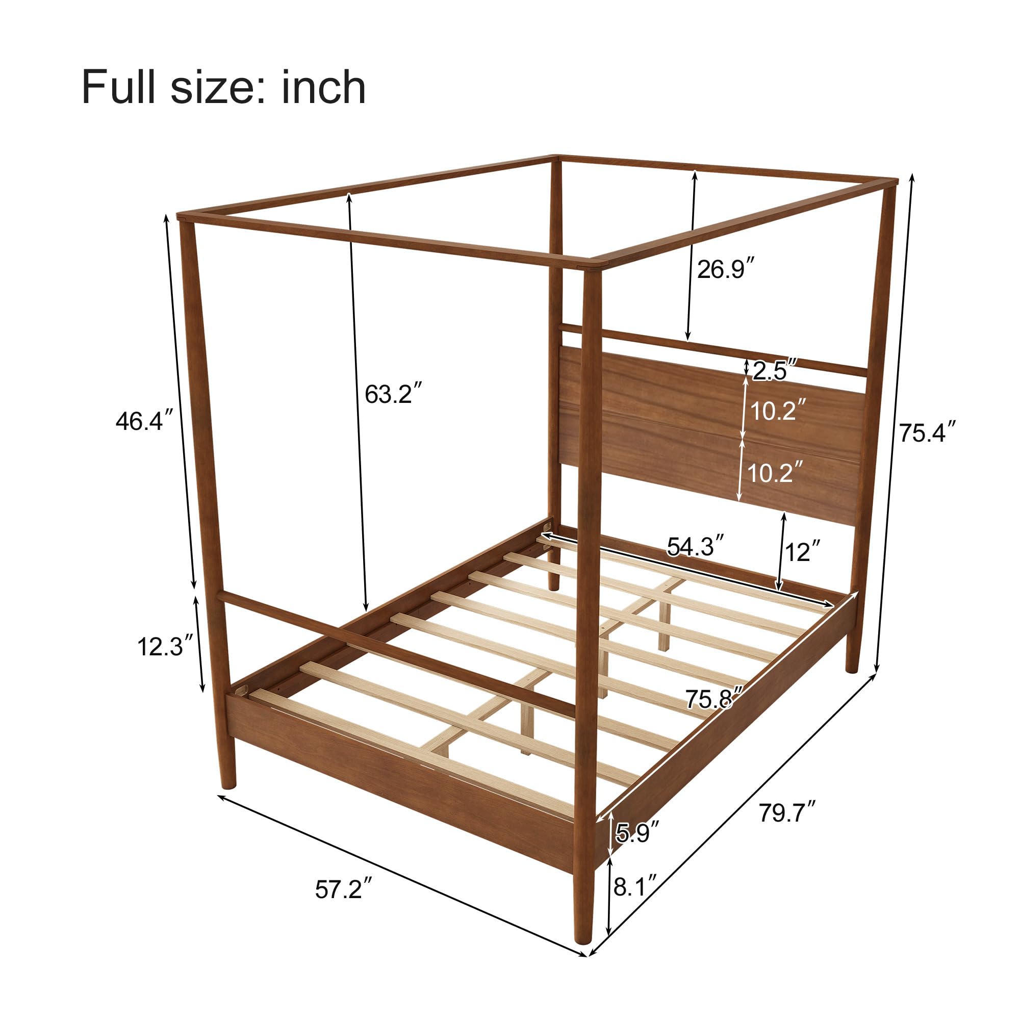 https://m.media-amazon.com/images/I/71EtEP+xsTL.jpg