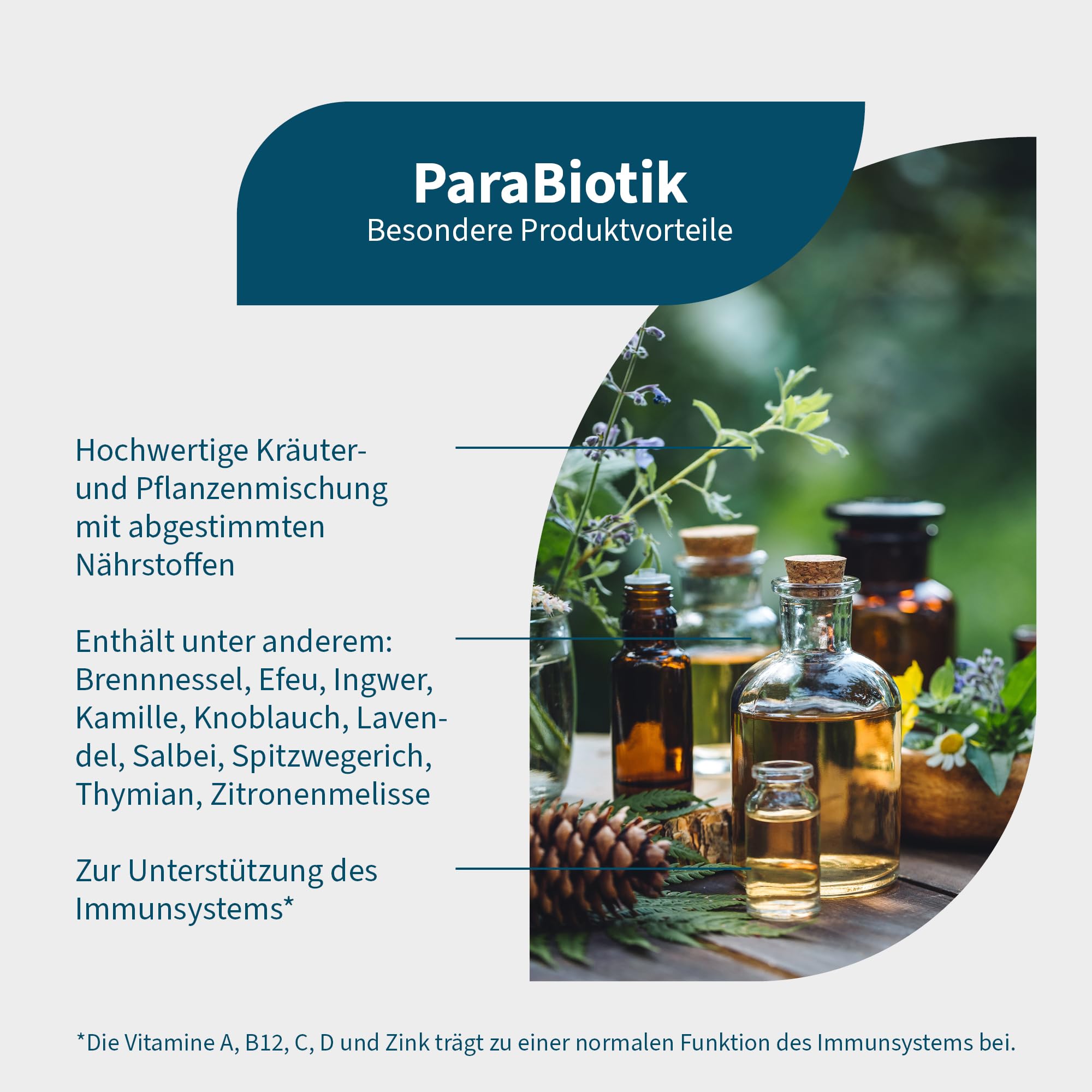 NatuGena ParaBiotik hochdosierte Kräuter- und Pflanzenmischung zur Unterstützung des Immunsystems, Zink, Vitamin A, B12, C & D, 90 Kapseln (6 Tage Packung)