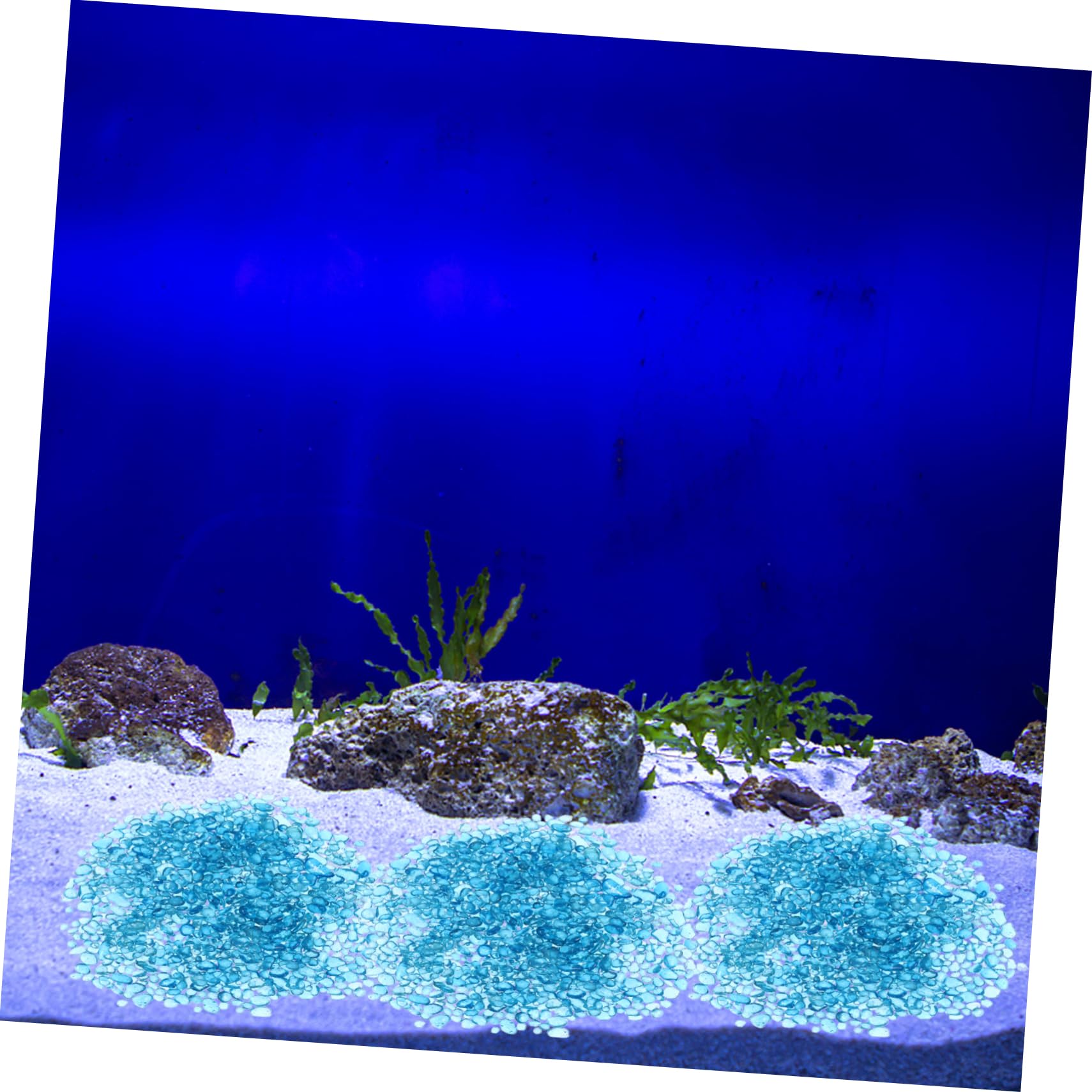 水槽 icchimama esAqua 水槽 ガラスパイプ【ハイクリアガラス採用】＜ 12/16mm