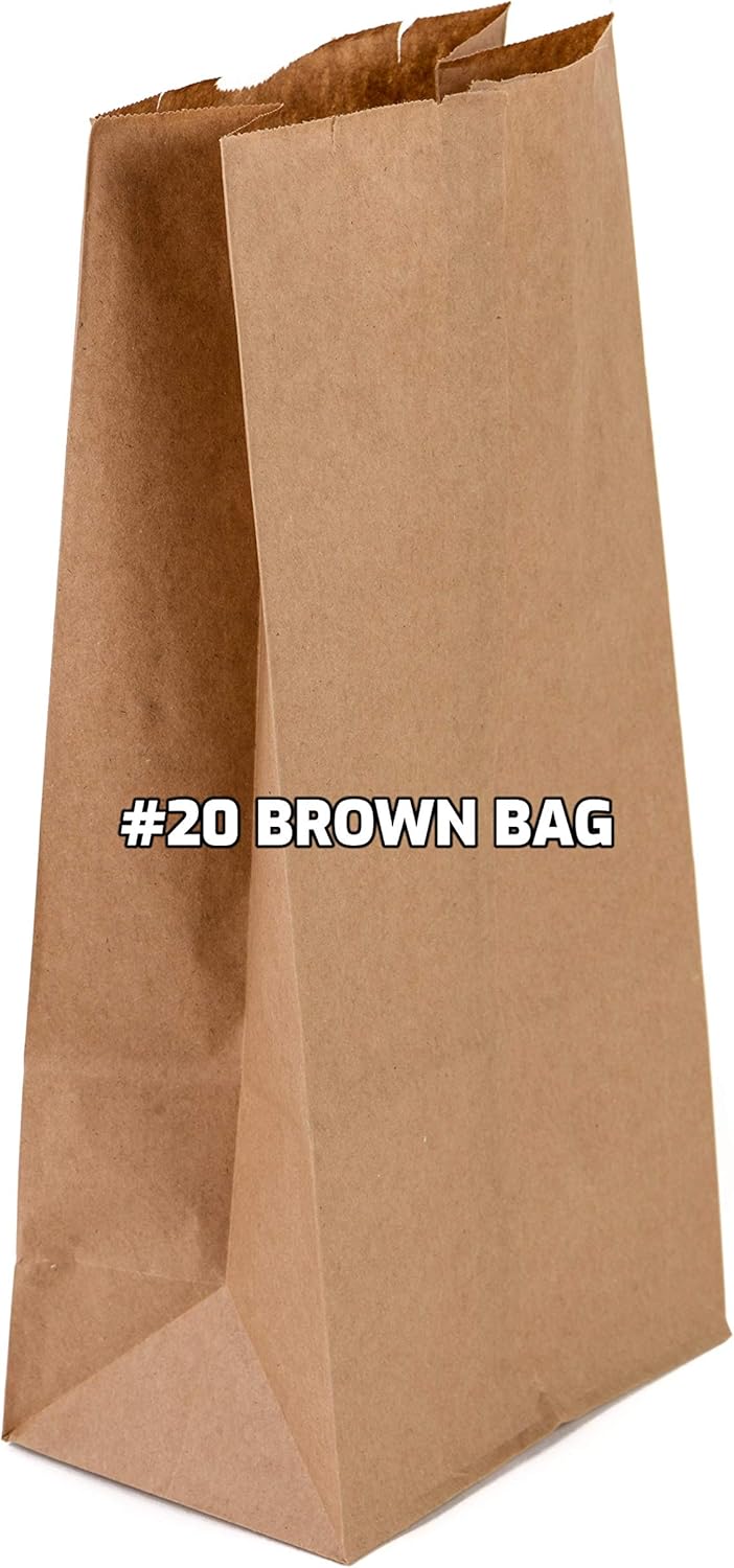 EcoQuality 500 Brown Kraft Paper Bag (20 lb) Large Paper