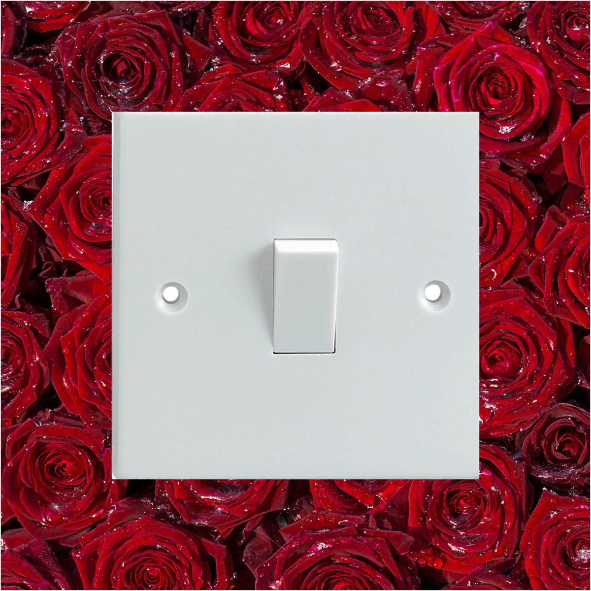 Decalarama Red Wet' Roses Pattern Electrical Light Switch Surround Printed Vinyl Sticker