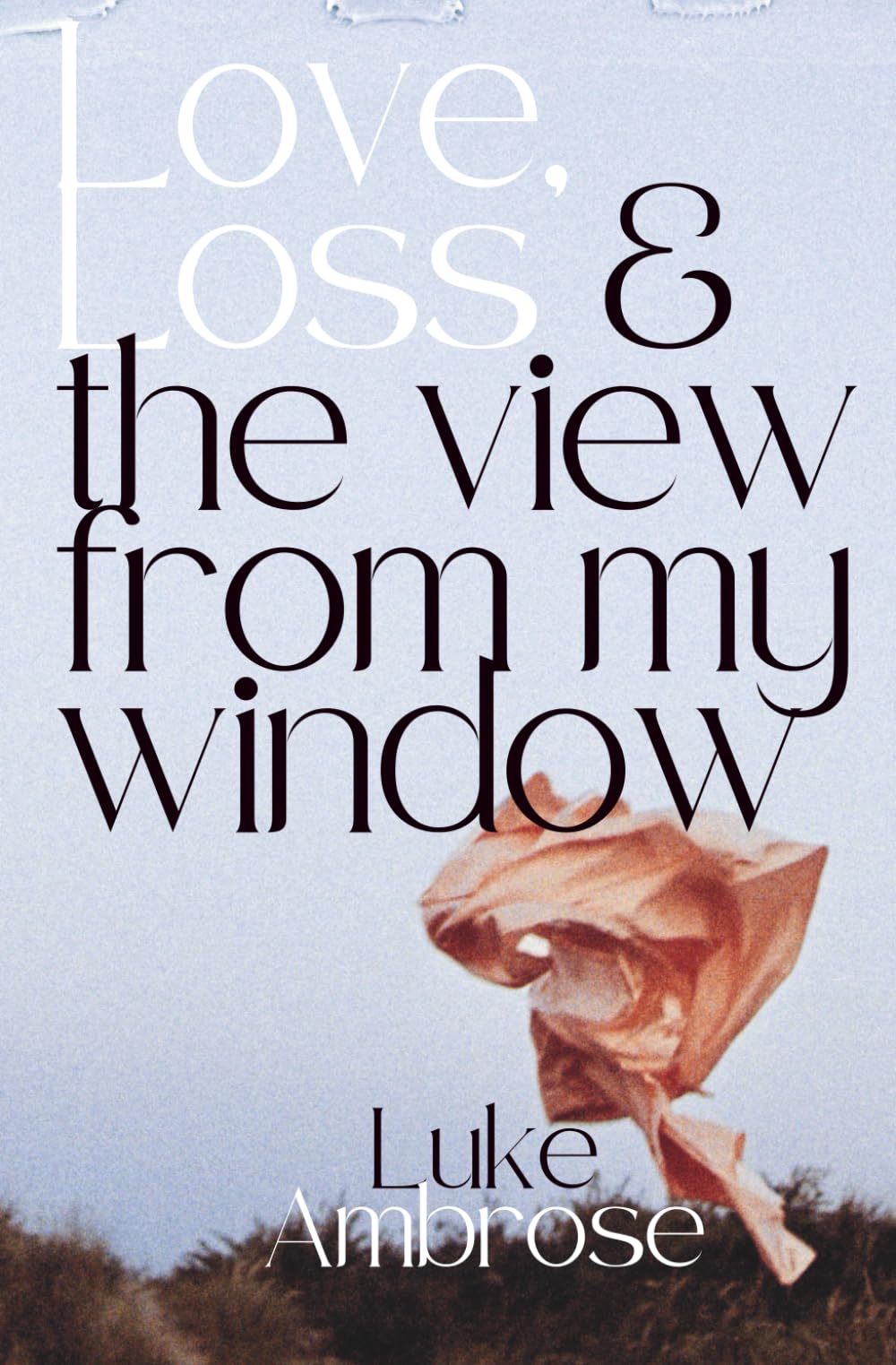 Love, Loss & the View from My Window