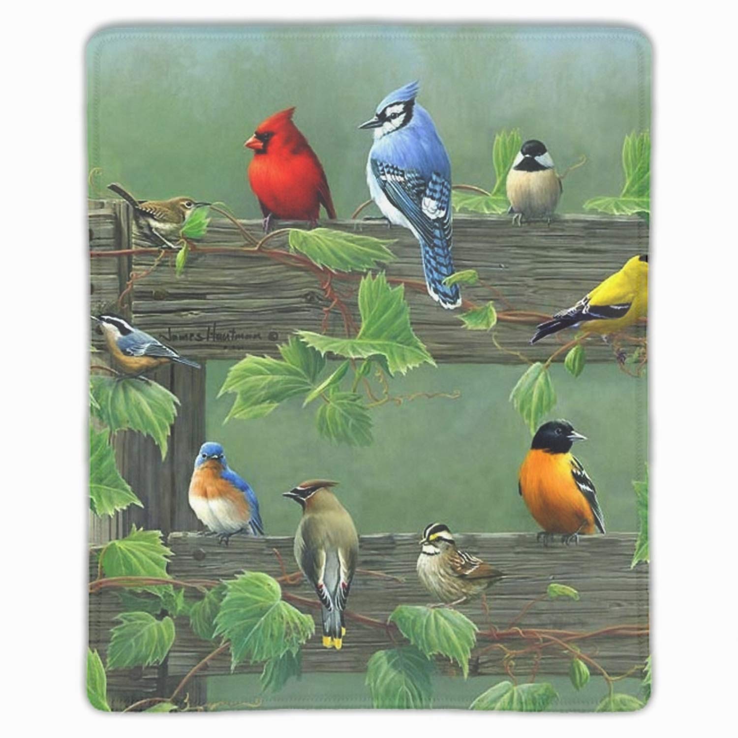 Song Bird Mousepad Game Office Thicker Mouse Pad Decorated Mouse Mat
