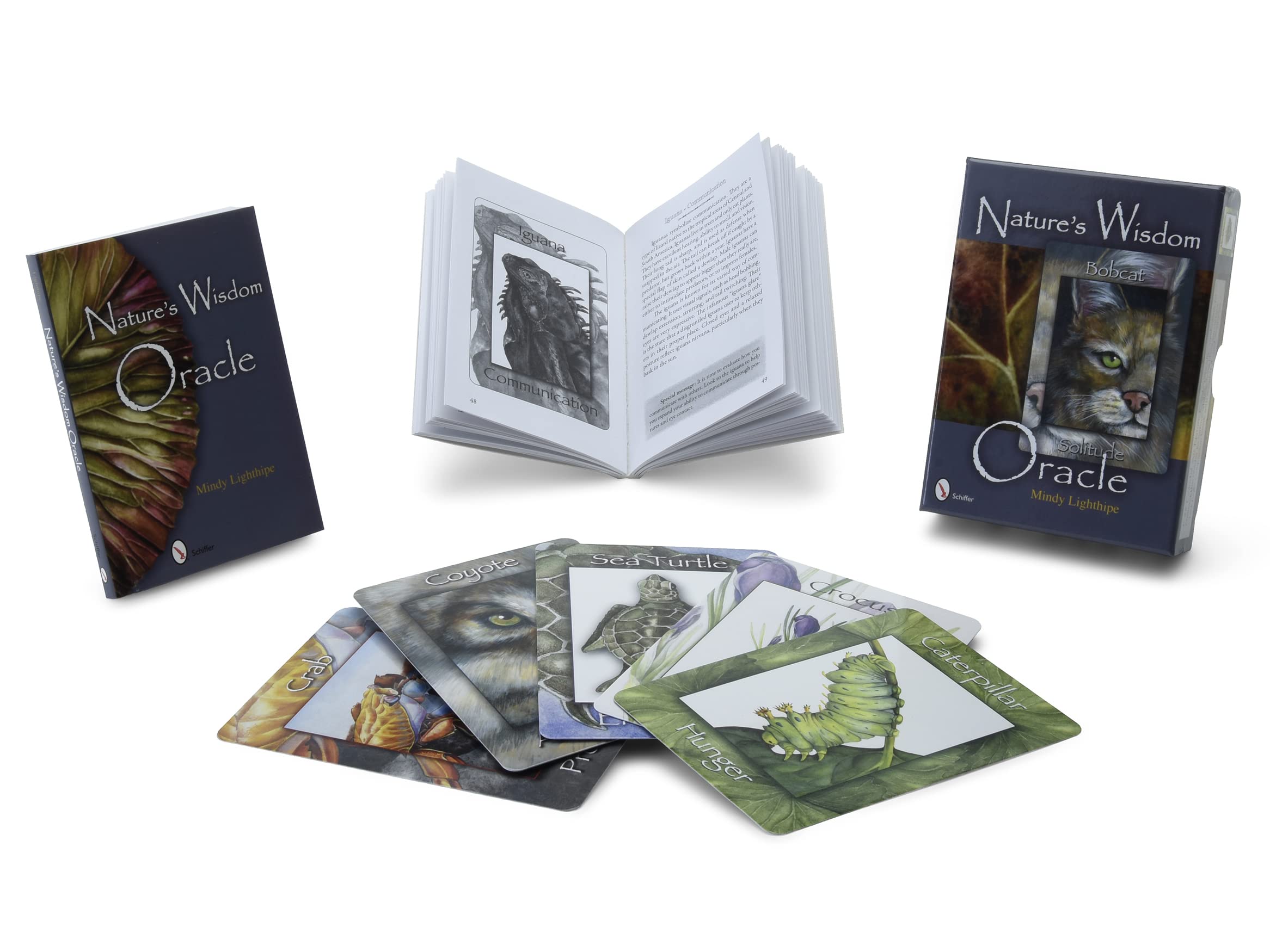 Nature's Wisdom Oracle: (Oracle Kit Box Set with 48 Cards and