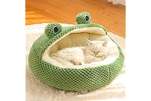 Naisicore Donut Frog Bed: Heavenly Comfort for Your Furry Friends