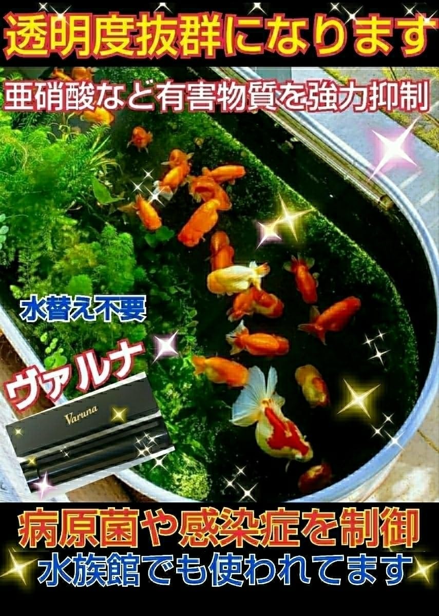 ヴァルナ 水槽の透明度が抜群に!病原菌や感染症など有害物質 ヴァルナ 水槽の透明度が抜群に!病原菌や感染症など有害物質