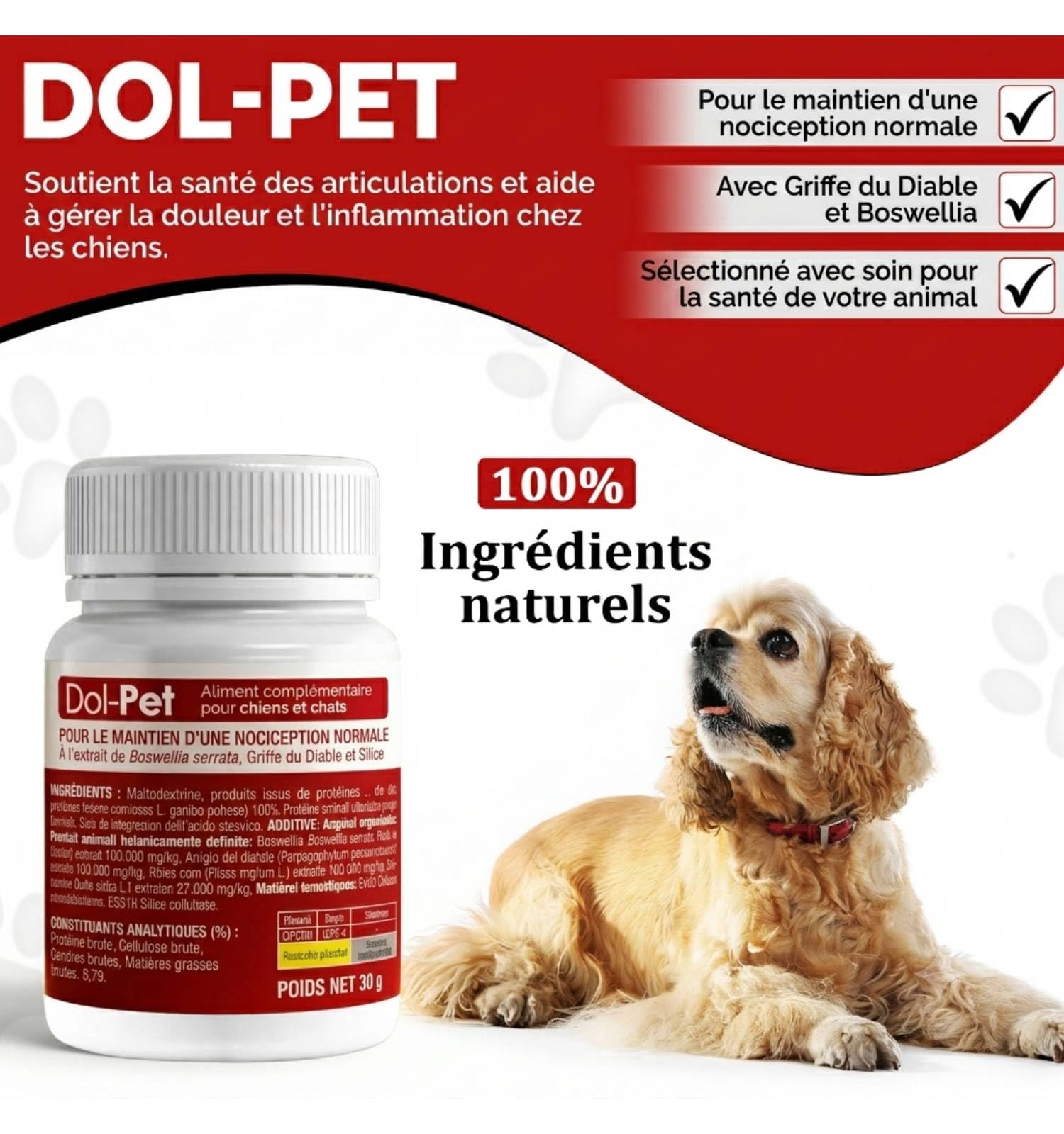 Dol-Pet Complément Articulaire Naturel pour Chien – Curcuma, Boswellia, Griffe du Diable – 30 Comprimés à Mâcher – Soulagement Arthrose et Douleurs
