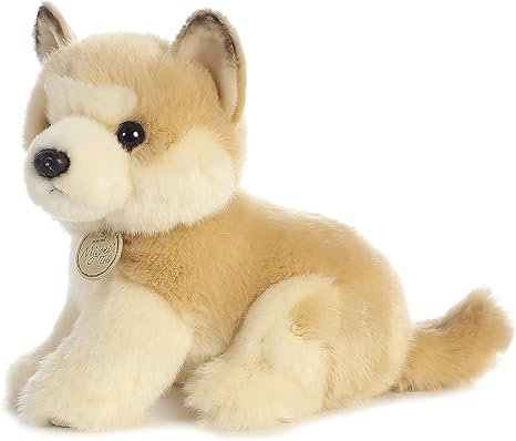 akita teddy