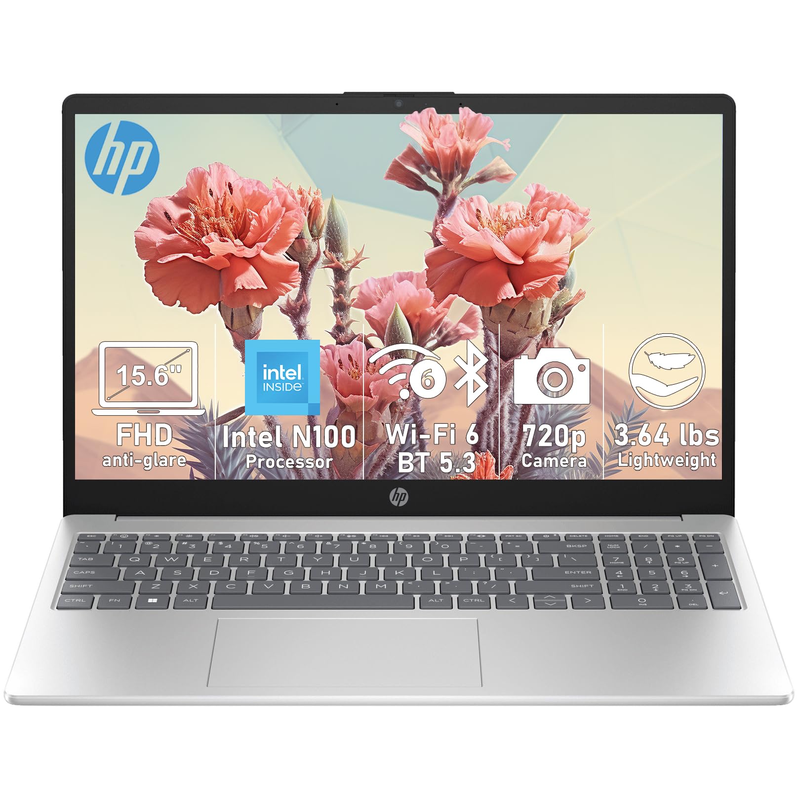 Amazon.com: HP 15.6