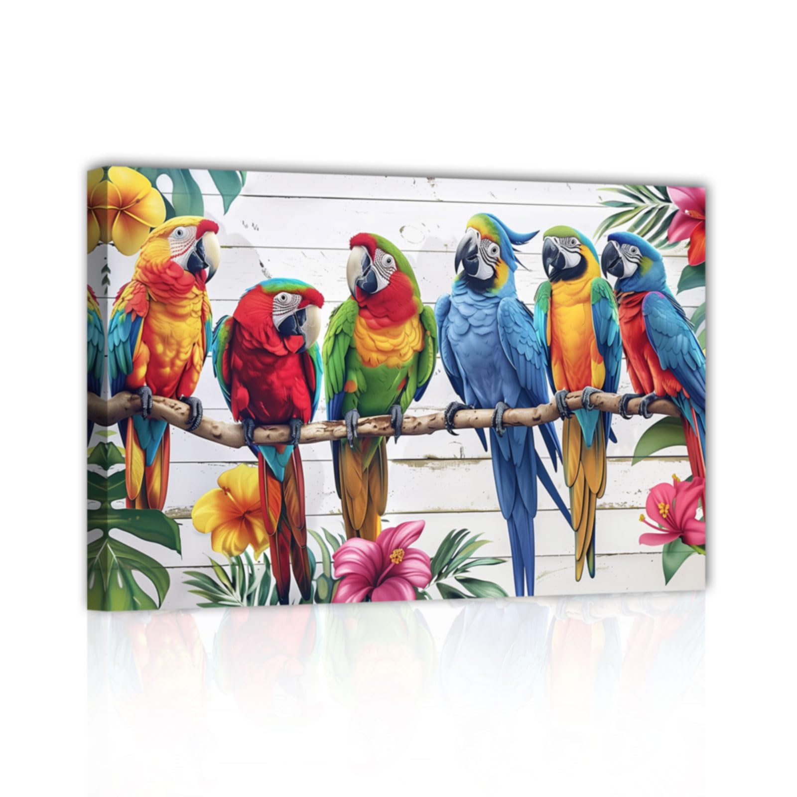 コンゴーインコ 絵画