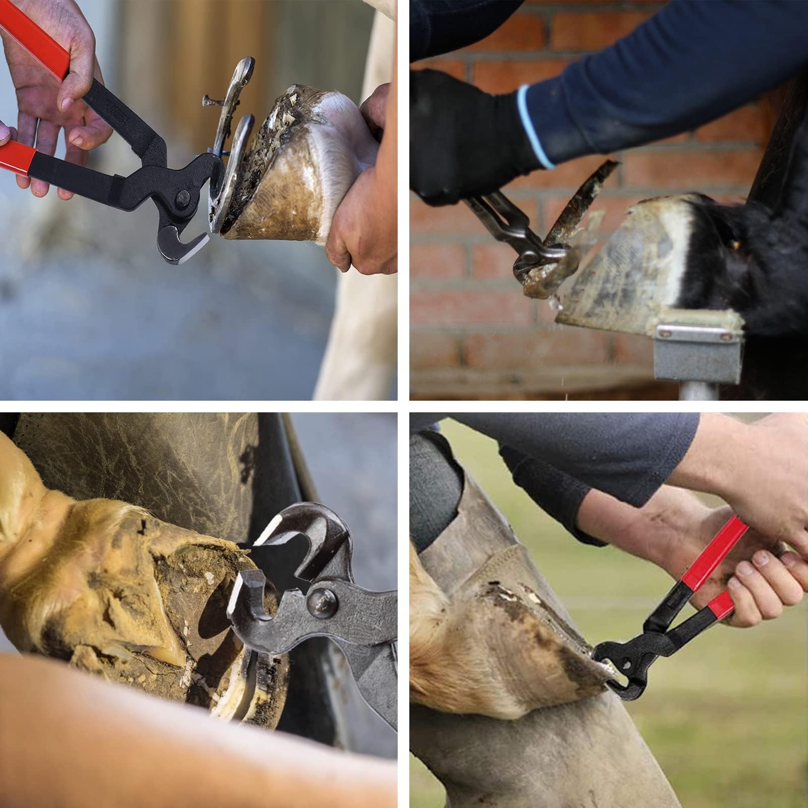 12 Piezas de Herramientas Profesionales para herrador, Kit de herrador, Herramientas para herrar Caballos, Suministros para herrador, Herramientas para herrador de Caballos, Ganado, ovejas y