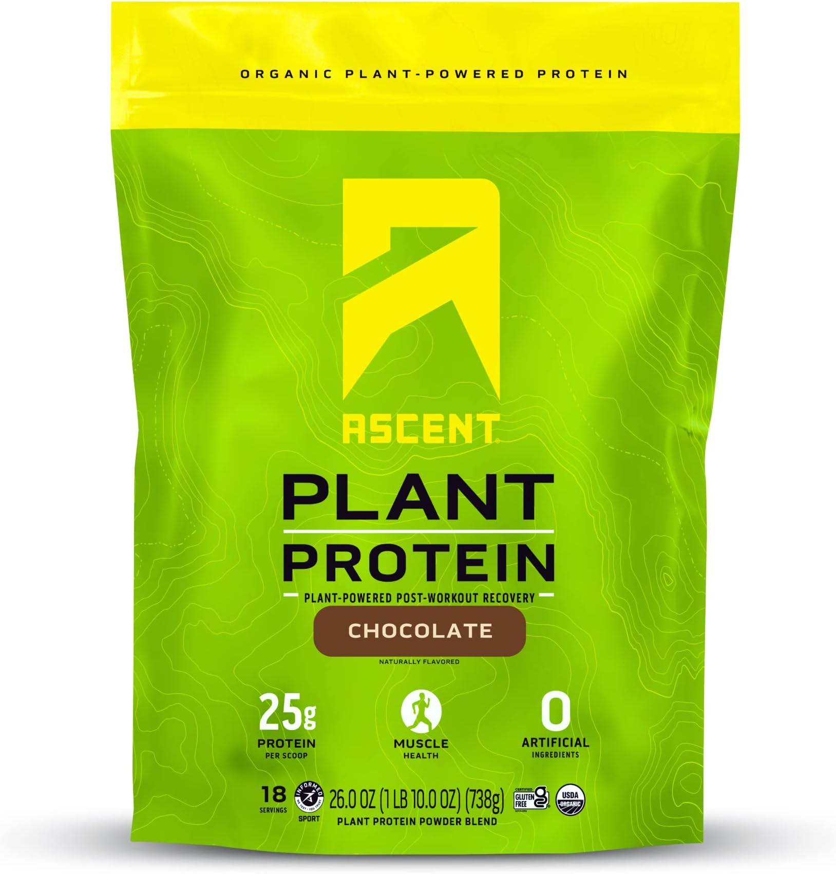 Ascent Plant Based Protein Powder - Non Dairy Vegan Protein, Zero Artificial Ingredients, Soy & Gluten Free, No Added Sugar, 4g BCAA, 2g Leucine - Chocolate, 18 Servings