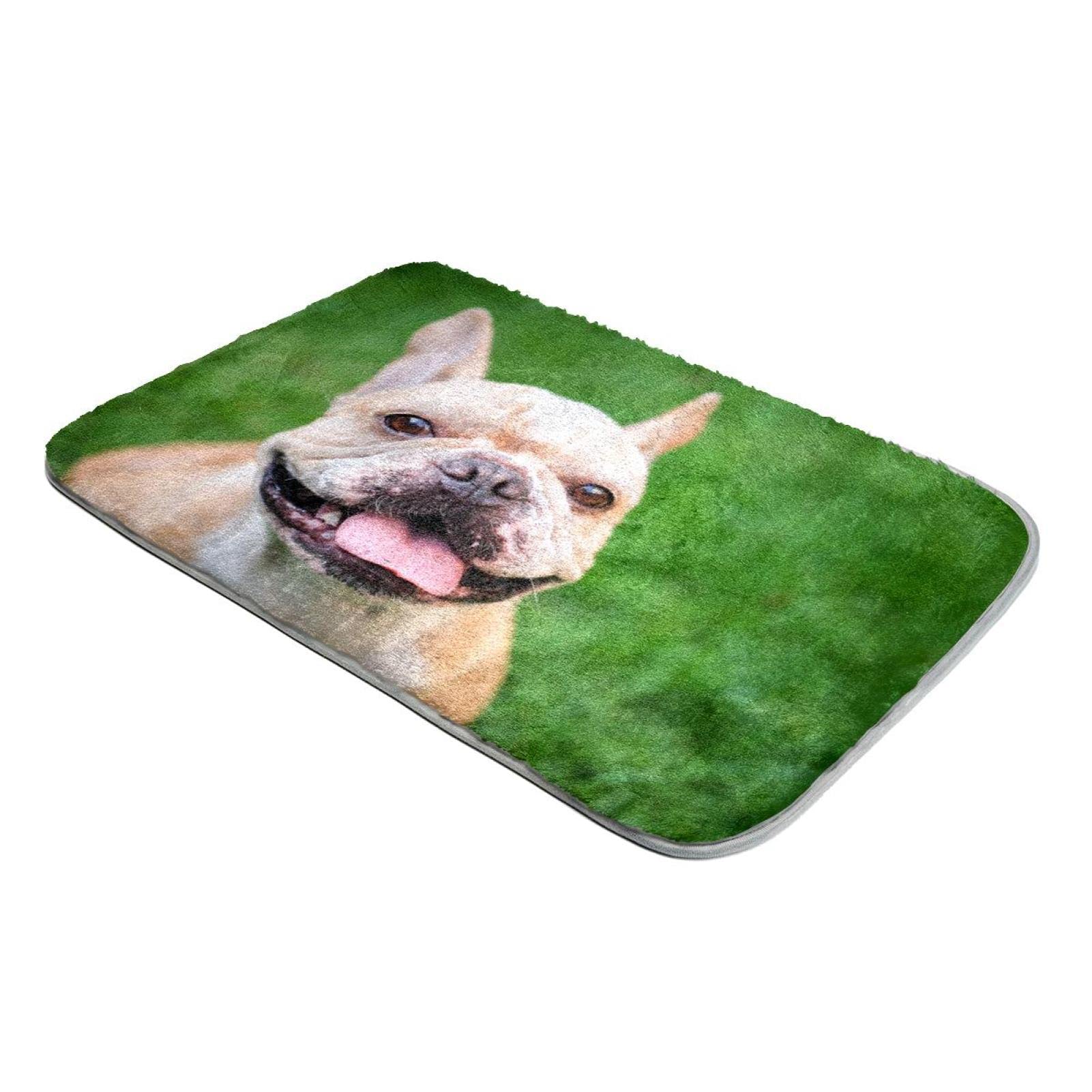 Tapis bouledogue français marron pour un salon chaleureux et cocooning