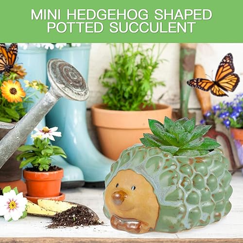 Miniatura 5 de VORCOOL Maceta para suculentas, bonita maceta de erizo, maceta para suculentas de animales pequeños, maceta de resina para jardín, hogar, decoración