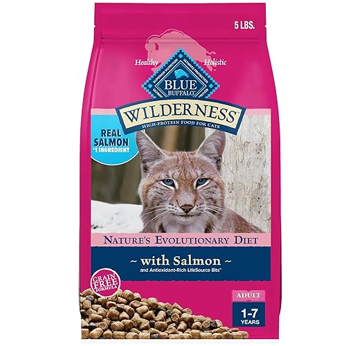 Blue Buffalo Wilderness Natural Adult Dry Cat Food, High-Protein and Grain-Free Diet, Supports Healthy Muscle Development and a Healthy Immune System, Salmon, 5-lb Bag - Salmon - 5 Pound (Pack of 1)