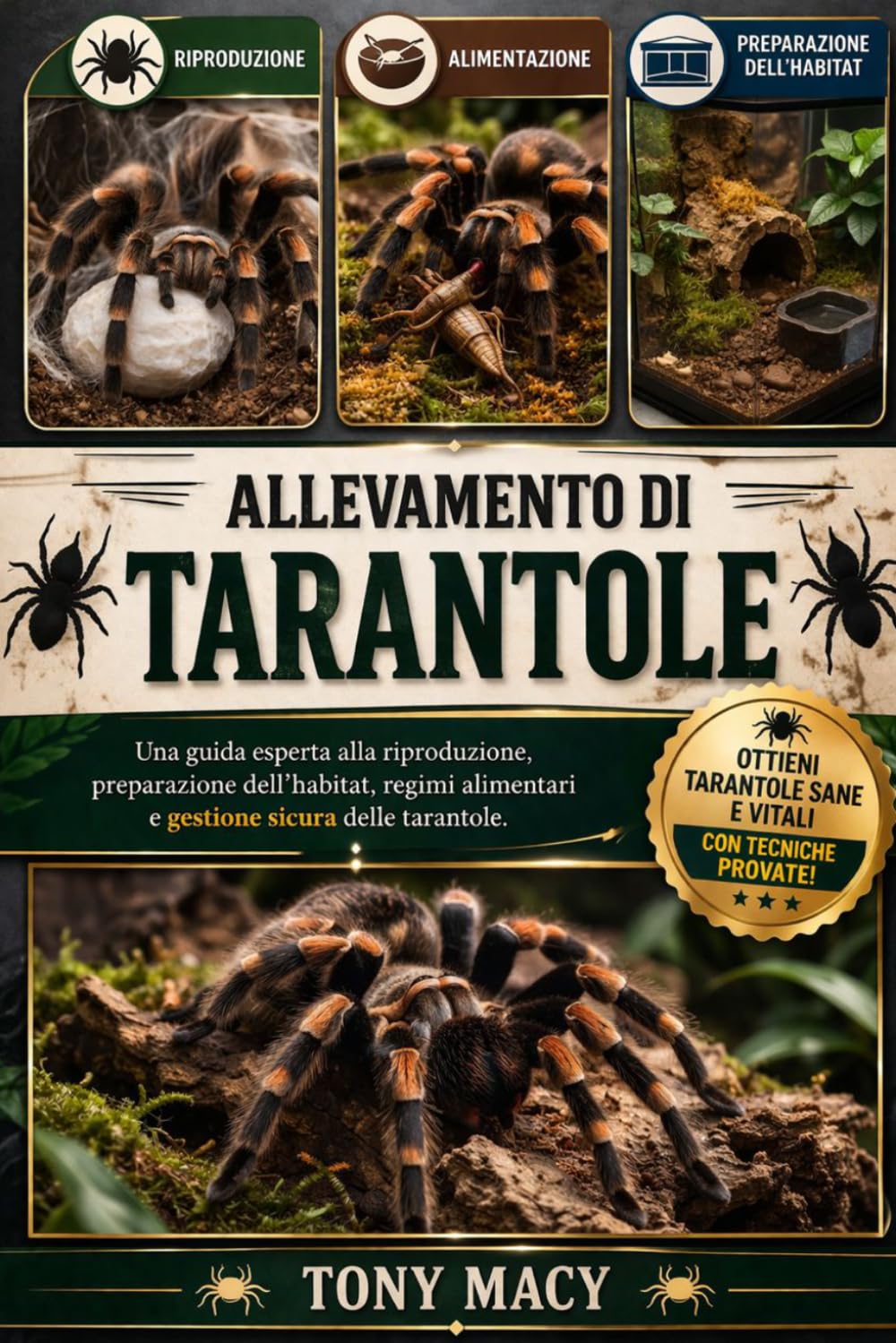 ALLEVAMENTO DI TARANTOLE: Una guida esperta alla riproduzione, preparazione dell’habitat, regimi alimentari e gestione sicura delle tarantole.