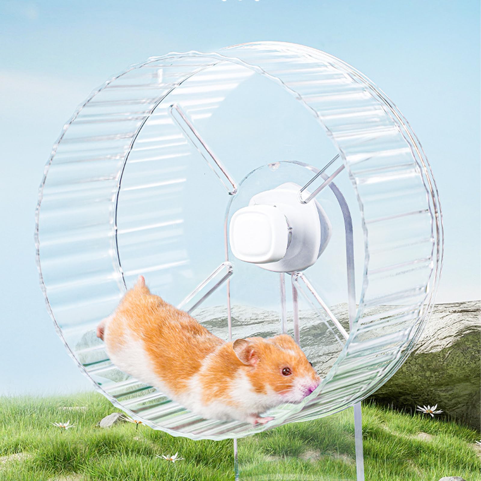 BORDEAG Ruota Silenziosa per Criceti, 21 cm, Silenziosa, per Criceti, Gerbil, Topi, Piccoli Animali Domestici (Trasparente)