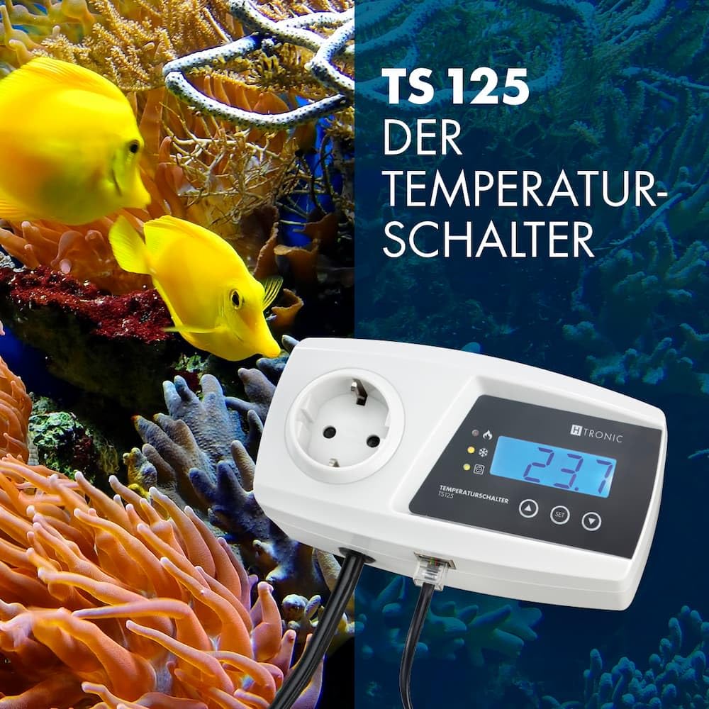 Temperaturschalter TS 125