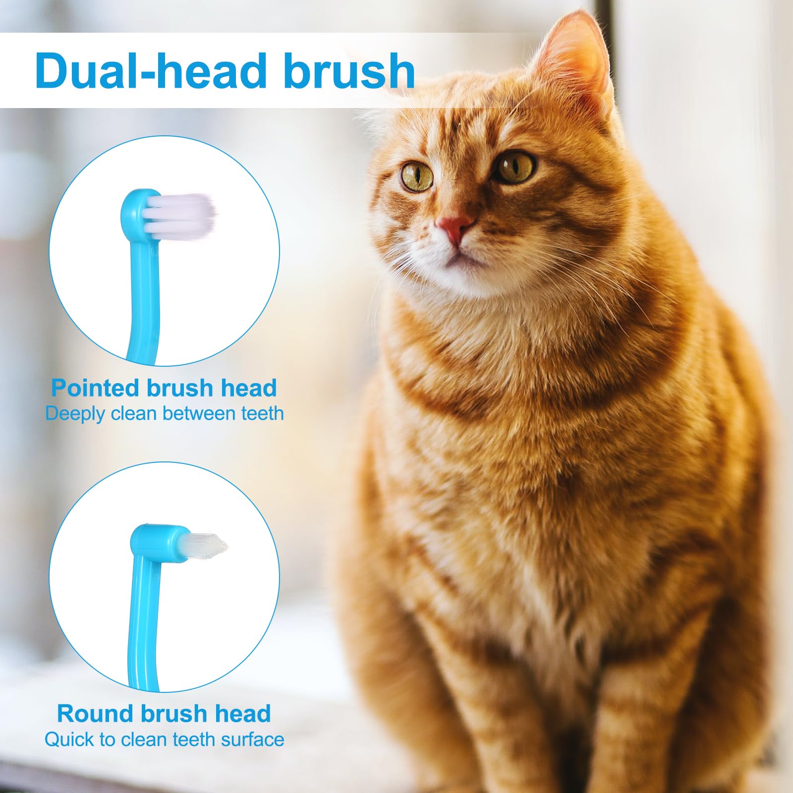 2pcs Double Face Brosse à Dents pour Chat, Brosse à Dents Chaton avec Tête de Micro-Brosse et Poignée Incurvée Soins Dentaire Chat pour Réduire la Formation de Tartre et la Mauvaise Haleine