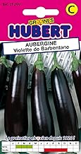 Purple Barbentane Eggplant Seeds - 0.5 g