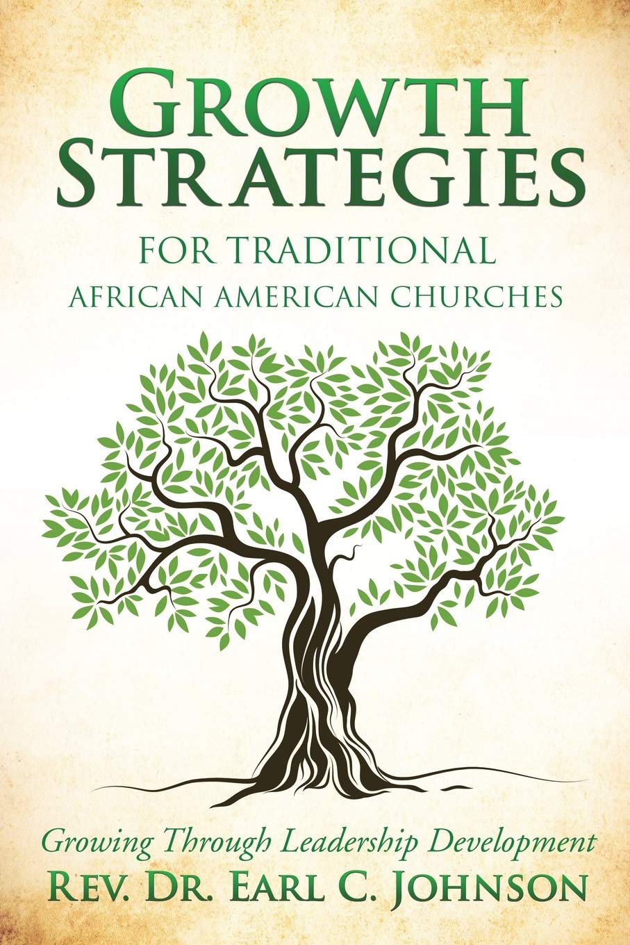 GROWTH STRATEGIES For Traditional African American Churches: