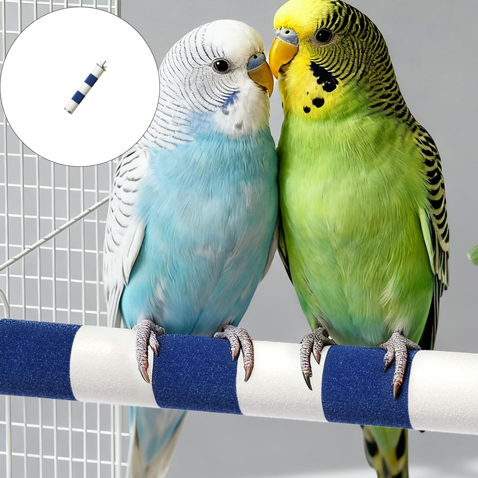 Lot de 2 perchoirs pour oiseaux résistants aux griffures - Pour le soin des pieds des oiseaux - Entretien sûr des griffes des perroquets