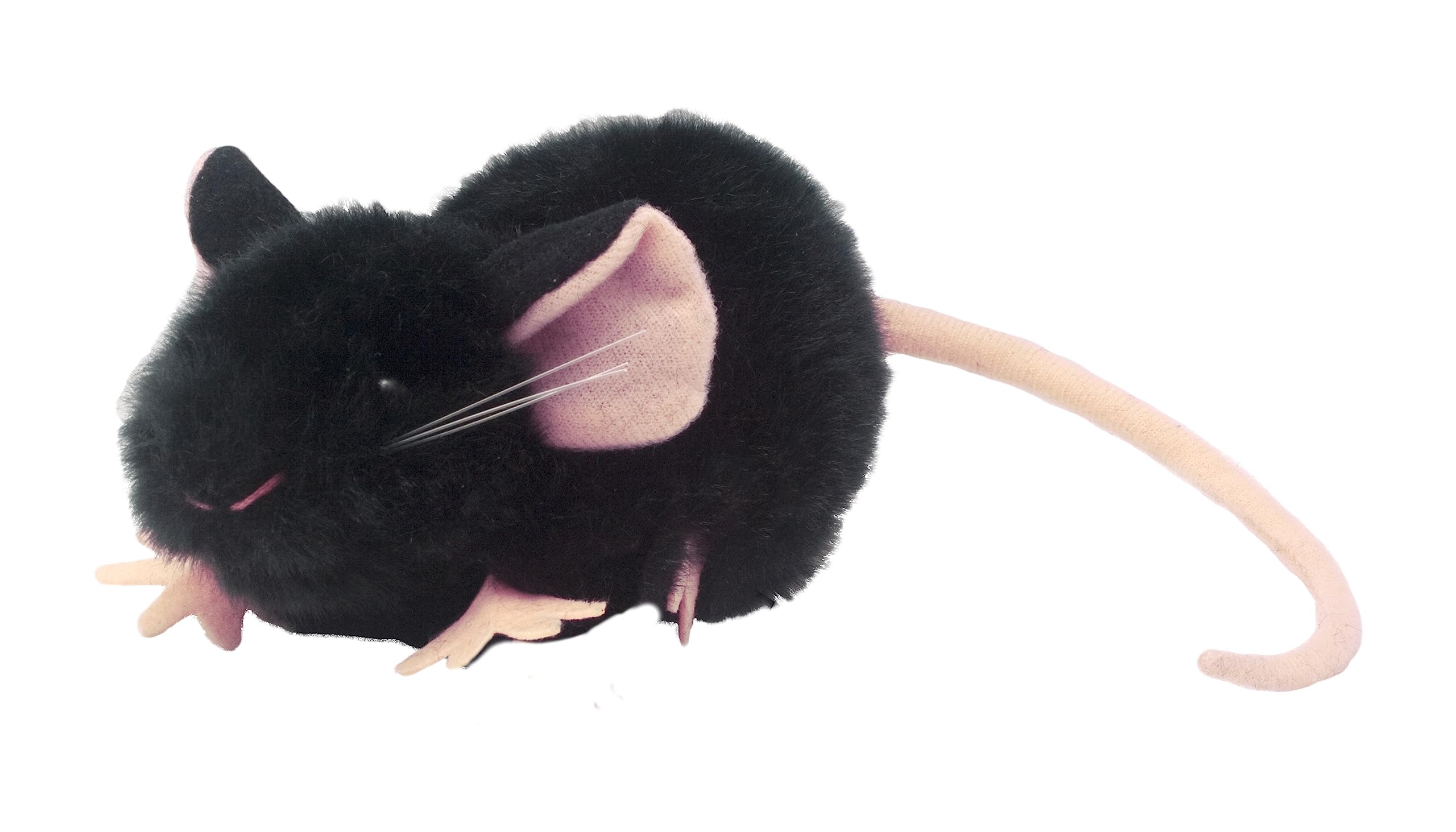 Amazon.com: GIANTmicrobes Black Lab Mouse – Learn about Nature and