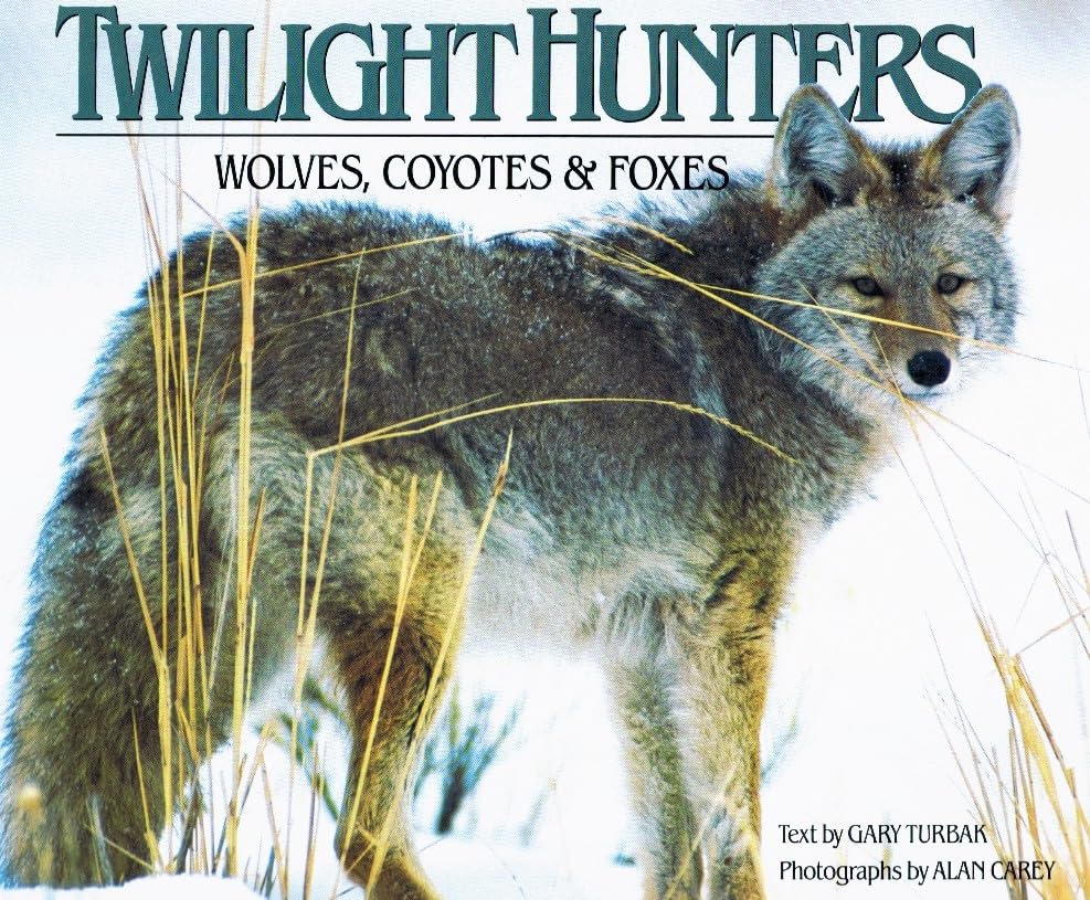 Twilight Hunters: Wolves, Coyotes and Foxes: Wolves, Coyotes & Foxes