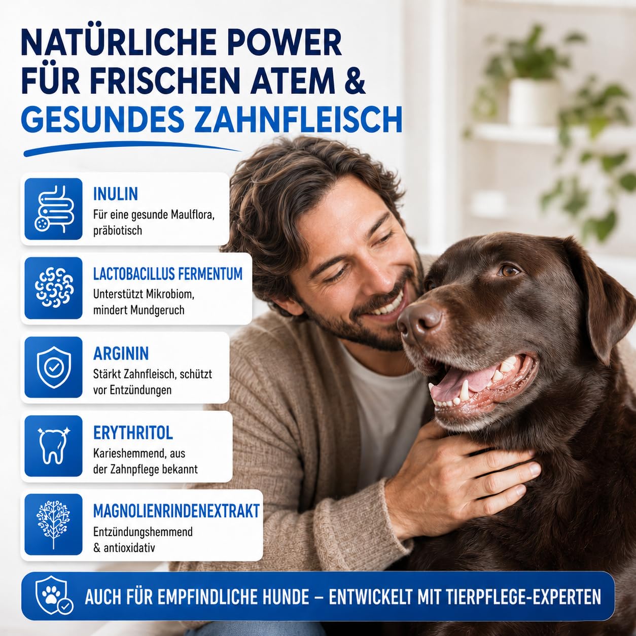 Dentalspray für Hunde & Katzen 100% natürlich 200 ml - Zahnpflege Dental Spray gegen Mundgeruch und zur Vorbeugung von Zahnstein- Zahnreinigung & Zahnsteinentfernung Golden Pets