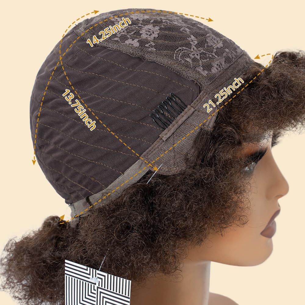 Afro Echthaar Perücke Damen Human Hair Wigs for Black Women Kinky Curly Short Glueless Wig (2, 10 inches)