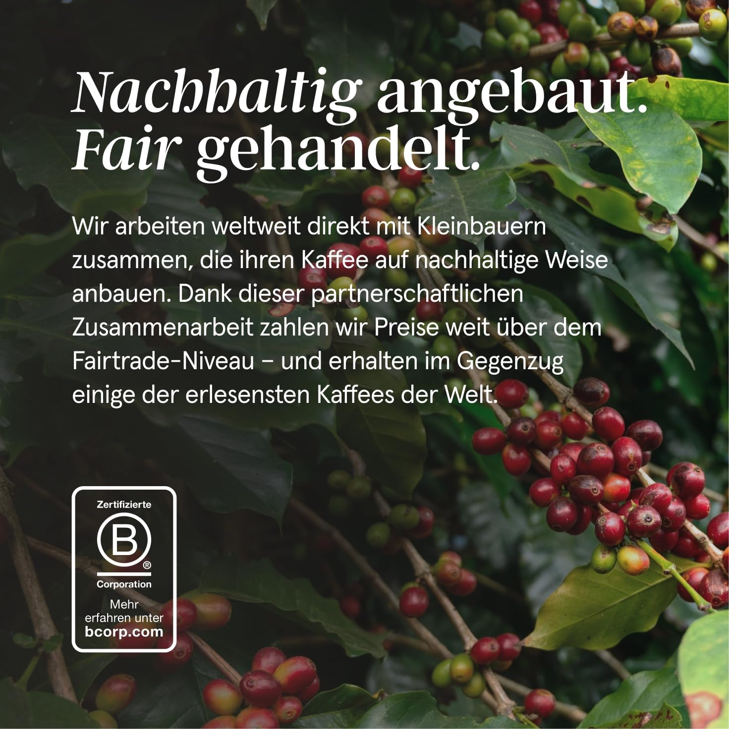 Grind Dark Kaffeekapseln – 100 bioabbaubare Kapseln – 100% Arabica – Kompatibel mit Nespresso® Original – Ethisch einwandfreie Herkunft – Spezialitätenkaffee – Dunkle Röstung