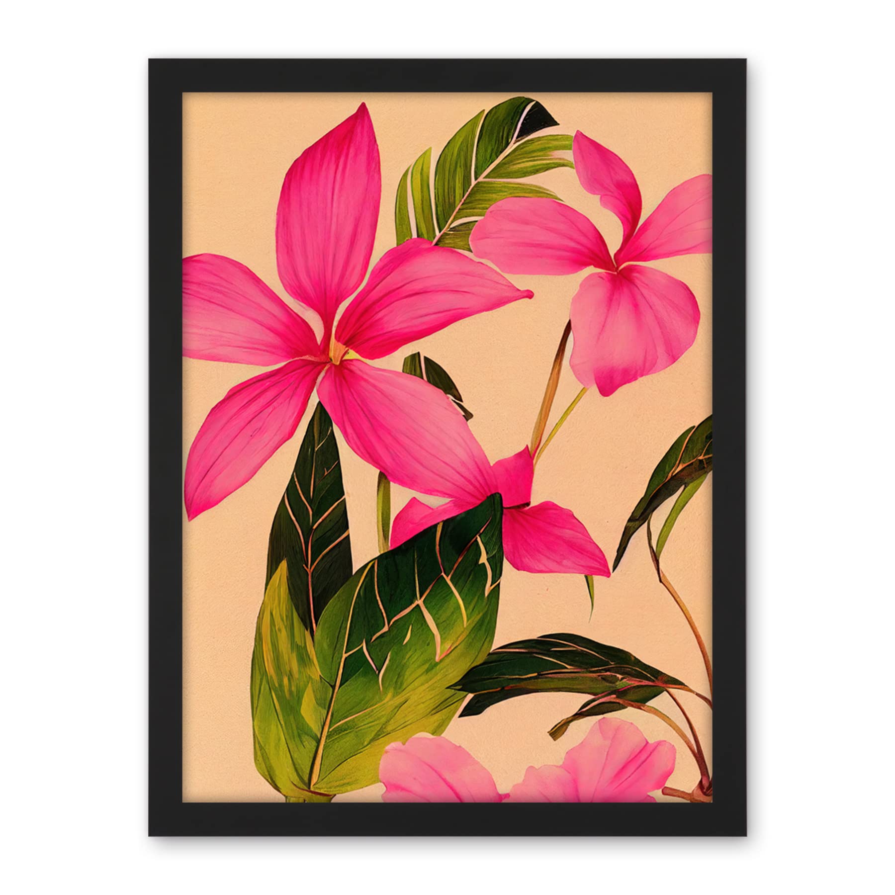 Wee Blue Coo Exotic Pink Plumeria Flower Plant Blooms Watercolour Pencil Illustration Artwork Framed Wall Art Print 18X24 Inch