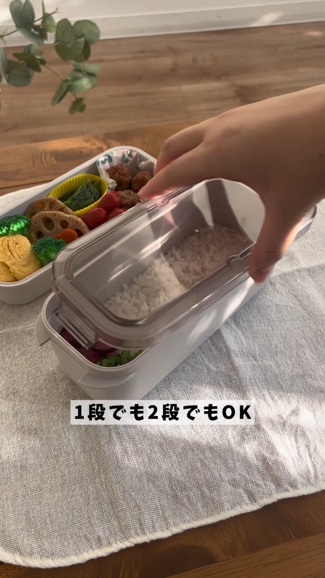 Amazon.co.jp: Skater PALB8-A 2-Tier Lunch Box, 27.6 fl oz (800 ml