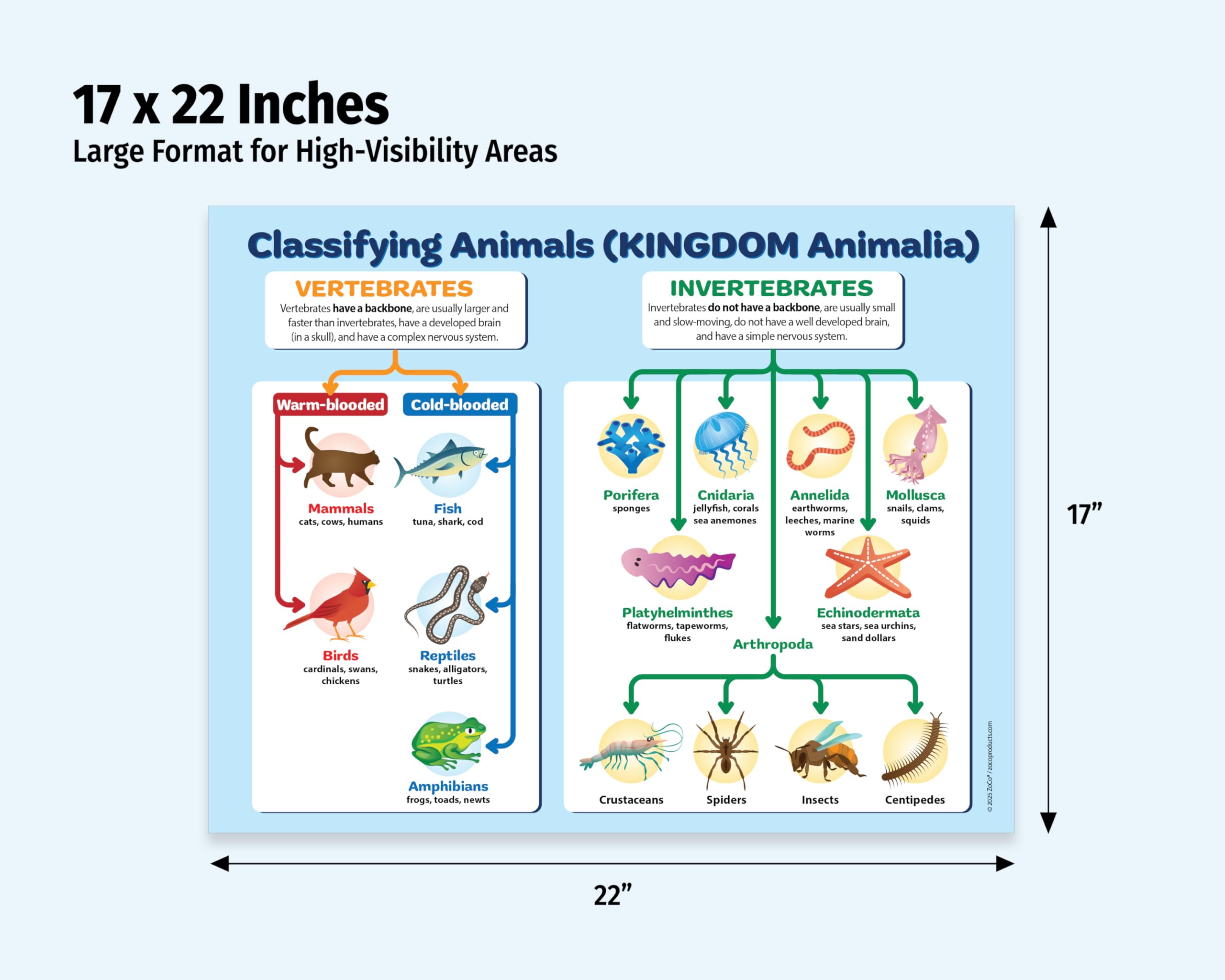 Classification For Kids Animal Kingdom For Kids Classification Chart Animal Kingdom