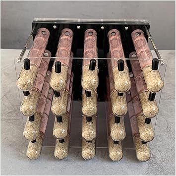 KXCR Ant Farm DIY 20 Tubes Ant Farm Ecological Bamboo Tube Ant Nest Acrylic Ant House with Feeding Area Moisturize Workshop Villa Formicarium Box Pet Anthill Castle Color D