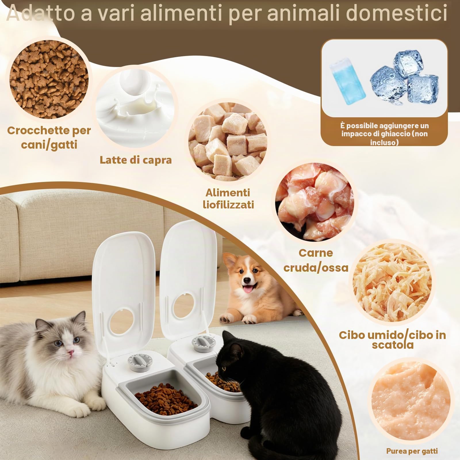 Distributore Automatico Cibo Gatti con Timer 48 ore, Dispenser Crocchette Gatto Cane 700 ml Lavabile, Mangiatoia Automatica per Animali Domestici, Alimentatore per Secco e Umido Gatti Cani di Piccola