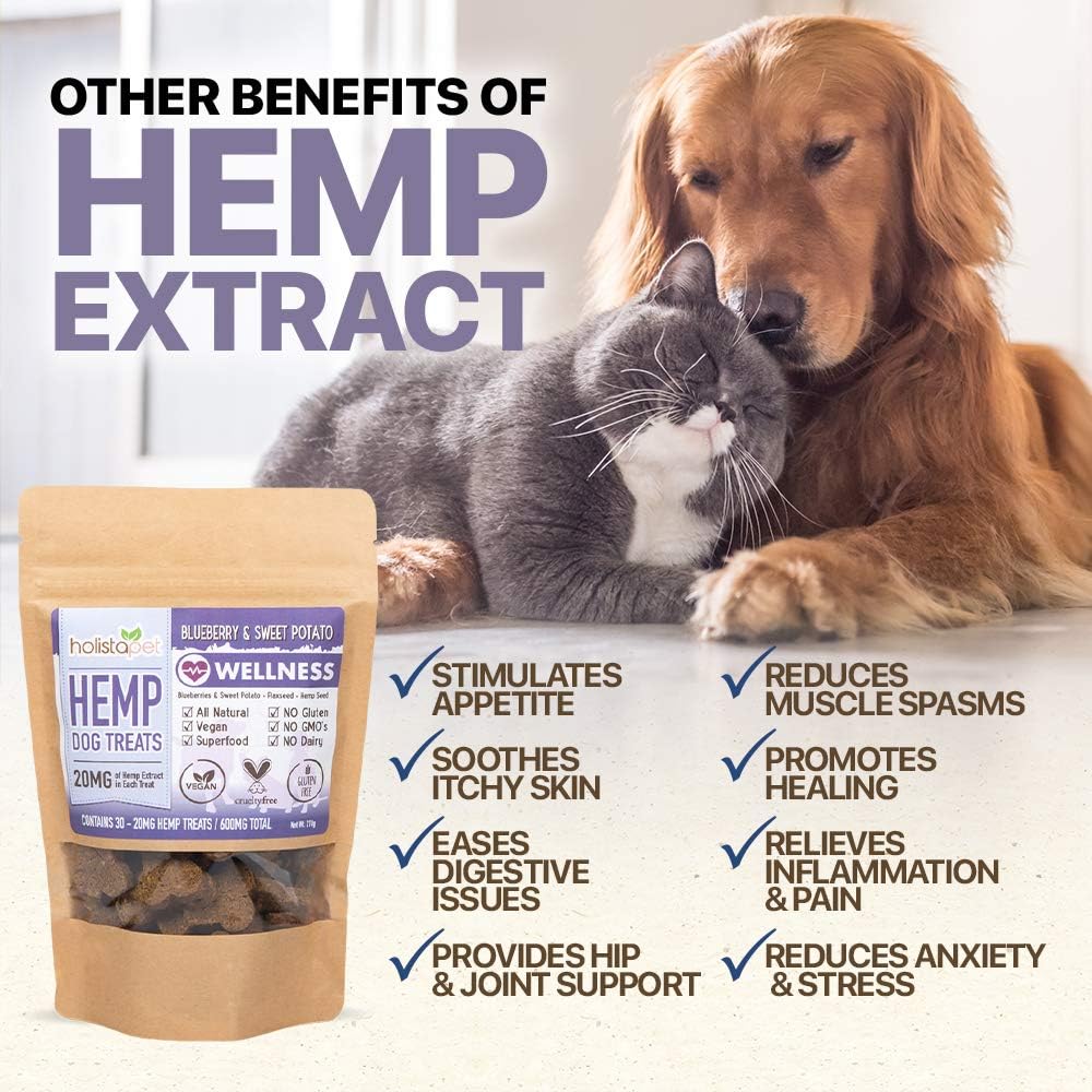 HolistaPet Hemp Dog Treats - Heart & Immune Care - 30 Crunchy Treats - 600mg - Made in USA - Powerful Relief with Hemp Oil Blueberries & Flaxseed - Supports Healthy Immune Response : Pet Supplies