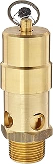 Control Devices SW Series Brass ASME Safety Valve, 125 psi Set Pressure, 1