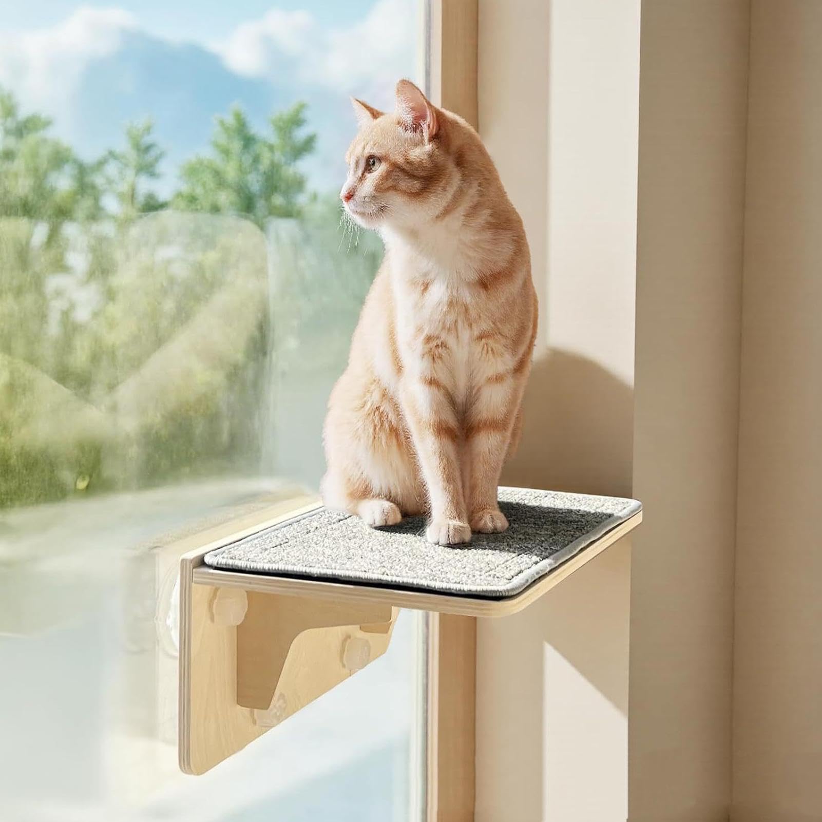 Balcón Ventana para Gatos Asiento Escalador De Madera Con | Estante para Gatos de Pared o Ventana Para Hogar, Sala De Estar, Dormitorio, Ático