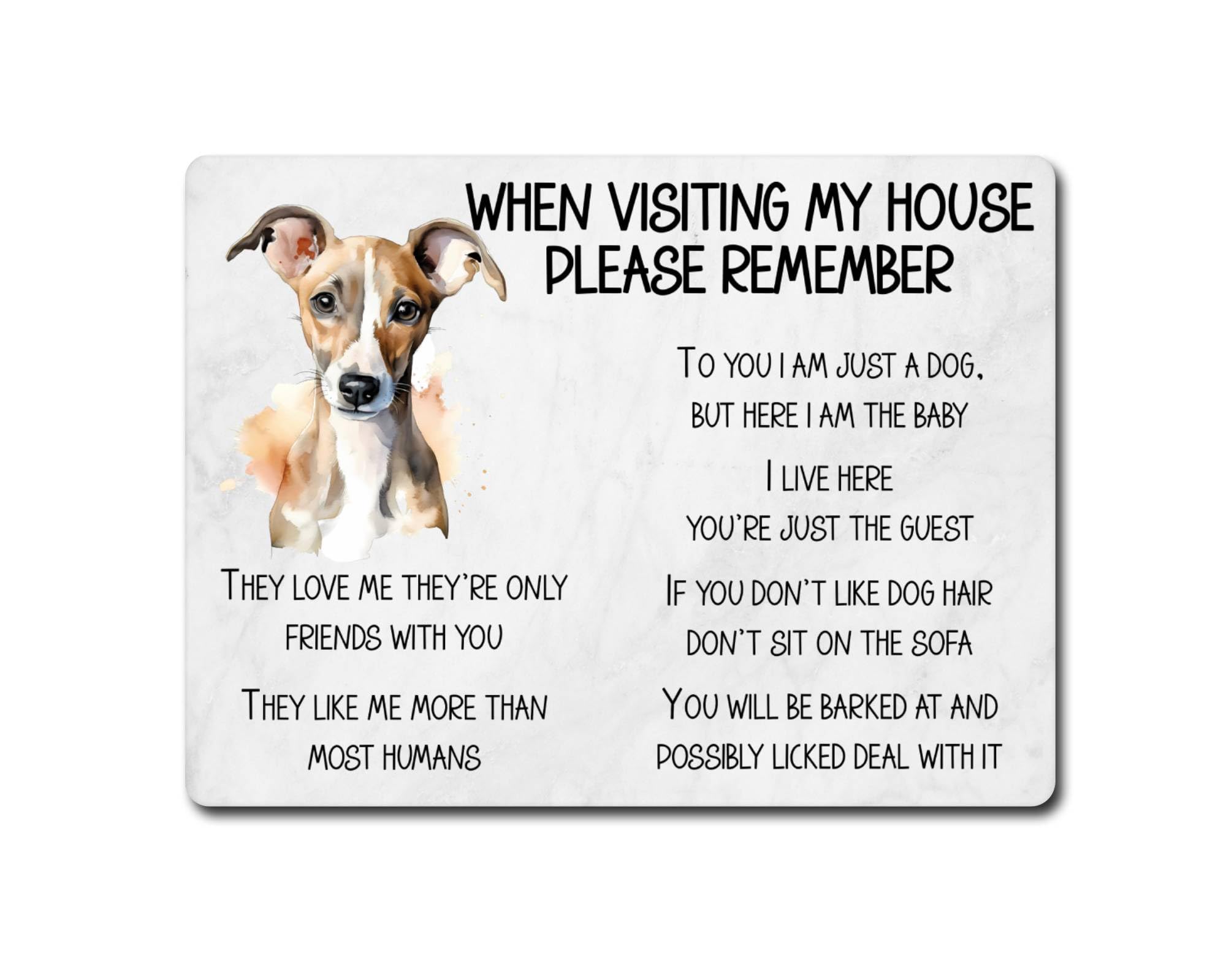 Decalarama Whippet Metal Sign Gift – When Visiting My House Please Remember - Cute Fun Novelty Dog Aluminium Present
