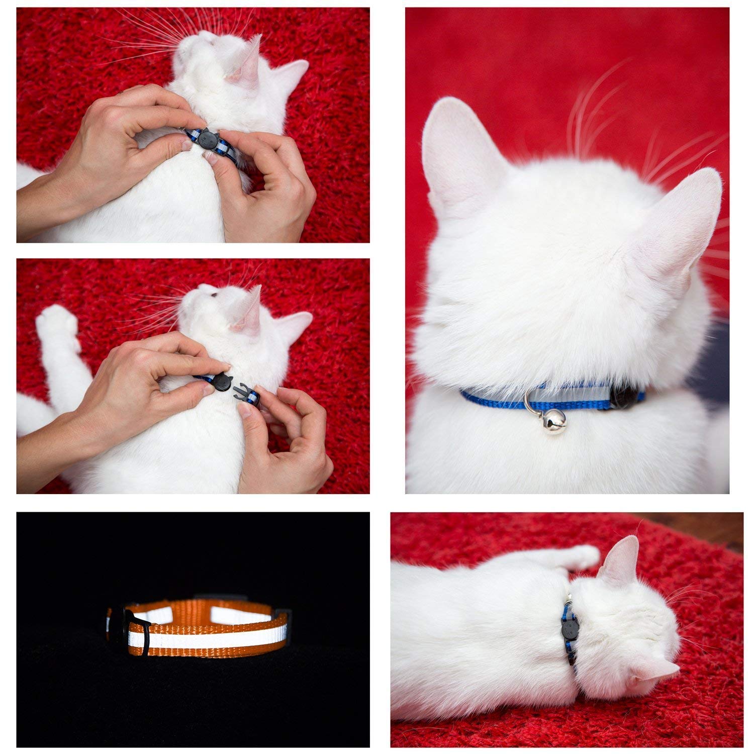 Collare per Gatto Riflettente con Campanella, Sicuro, Nylon, Colori Misti, Collare per Animale Domestico, Collare Rimovibile per Gatto (12)