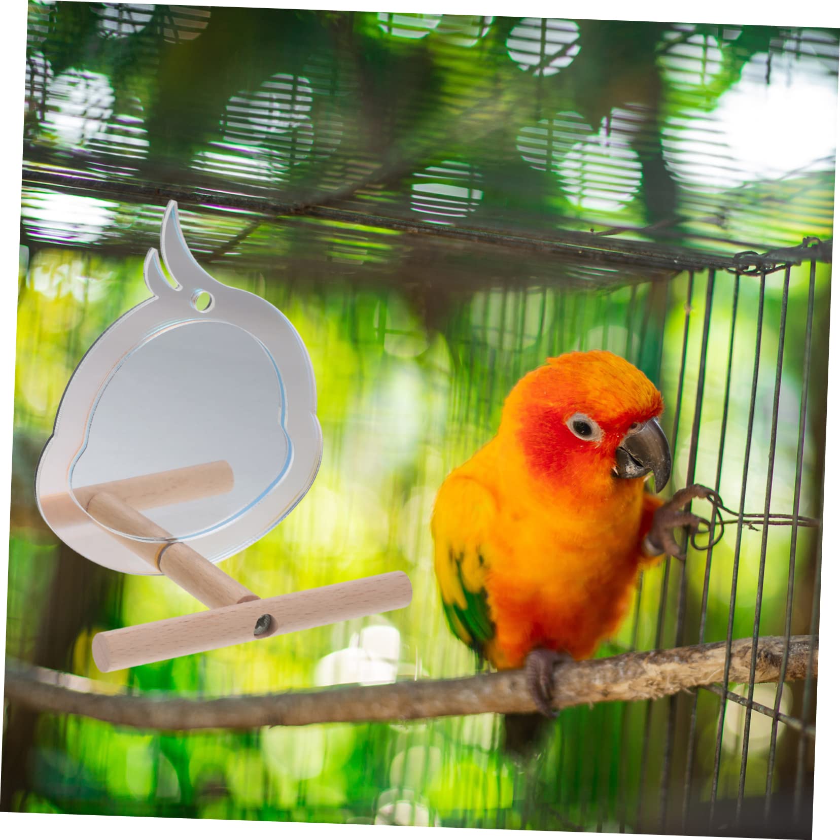 BESPORTBLE 5piezas Perch Espejo para Aves Soporte para Entrenamiento De Periquitos y Loros Juguete Interactivo y Decorativo para Jaula De Aves
