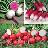 Park Seed Sow Effortless Collection Seed Tape β Gourmet Radish Collection, 15 Feet β Easy DIY Planting, 3 Premium Varieties, Quick-Growing Cool-Season Crop, No Thinning, Ready in 30β60 Days