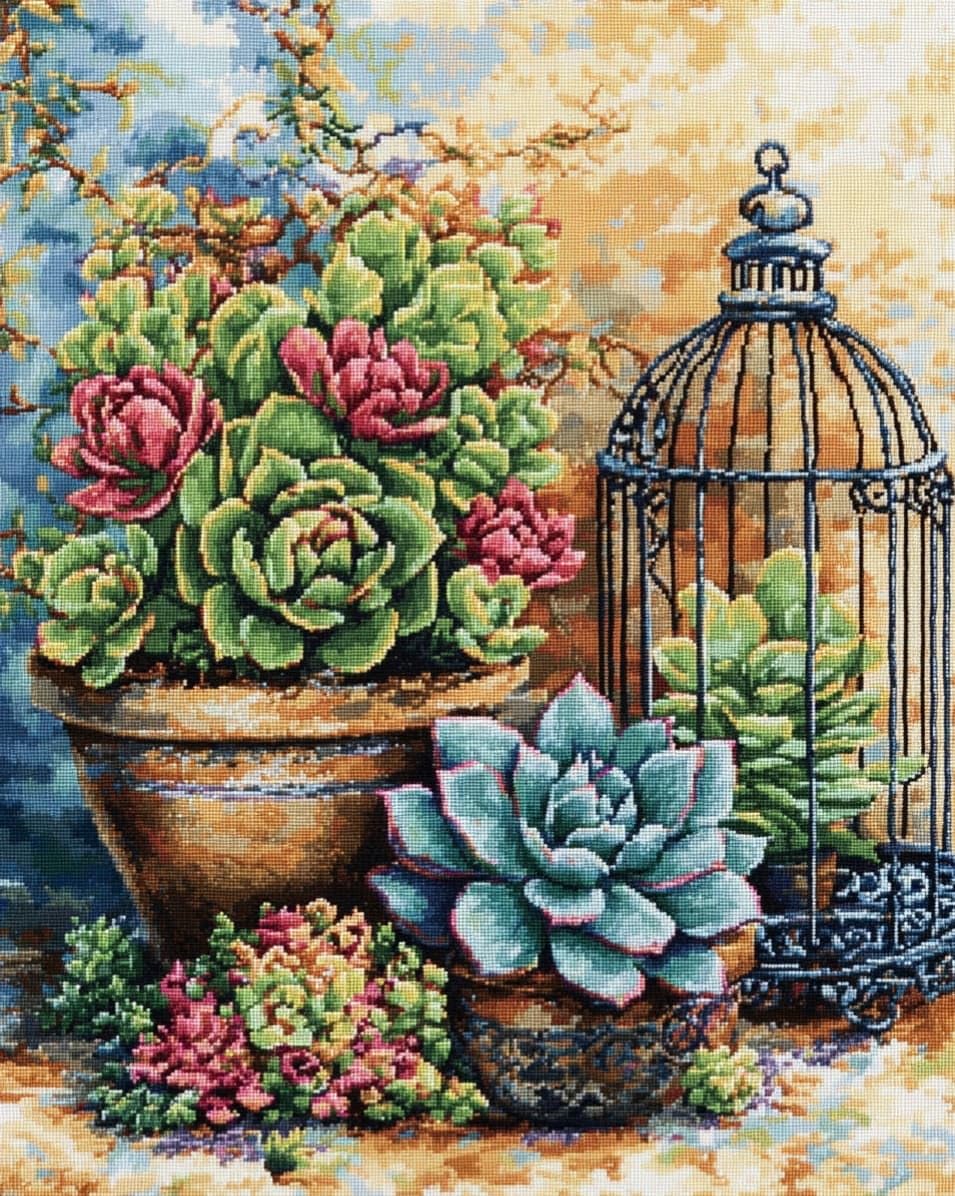 WallustrioaW DIY Cross Stitch Kits for Adults,Succulents and birdcages,11CT Printed Cross Stitch,Stamped Embroidery Kits for Adults Wall Art Home Decoration,40x50cm