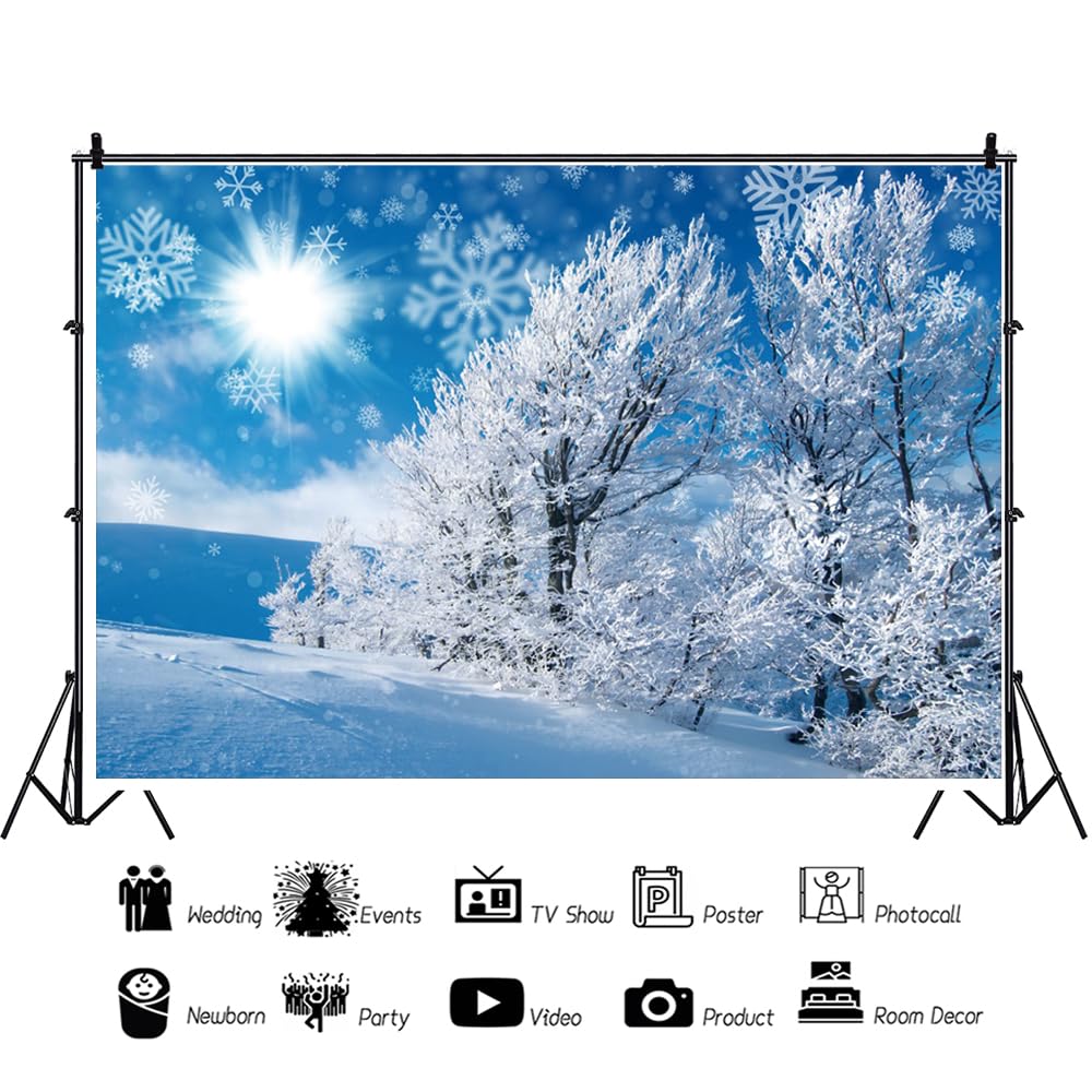 Amazon.com : DORCEV 10x8ft Wonderland Landscape Backdrop Winter