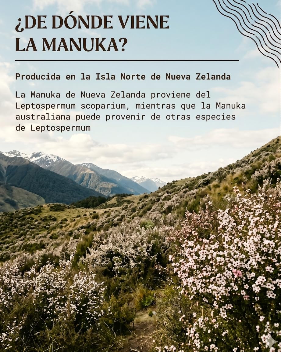 NaturalePiù Miel de Manuka 400+ MGO de 250g. Producida en Nueva Zelanda, Activa y cruda, Pura y Natural. Metilglioxial Probado por Laboratorios acreditados.
